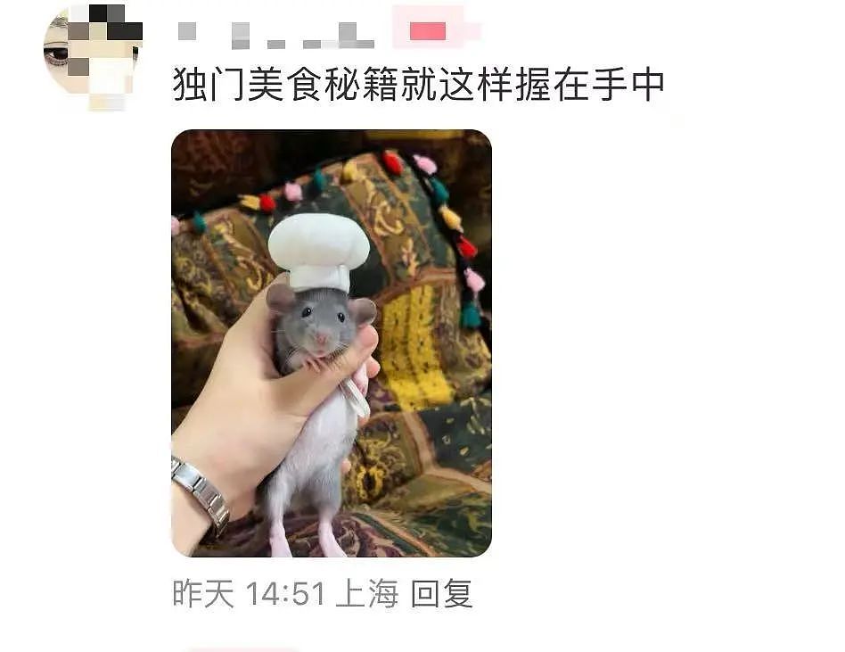 【爆笑】“面试时HR吹的天花乱坠一入职我傻眼了？”啊啊啊牛马槽子具像化了（组图） - 40