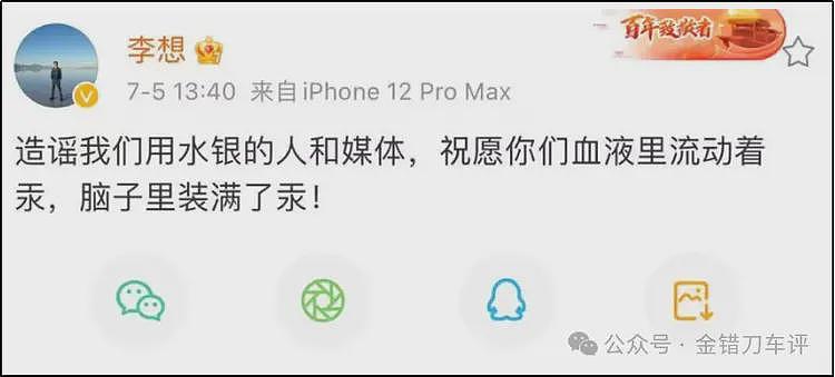 得罪华为小米比亚迪，他们的天快塌了（组图） - 6