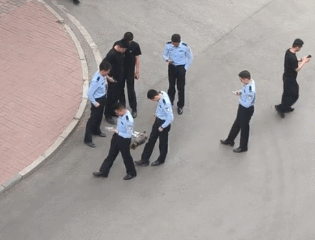 【宠物】老妈吐槽老爸打呼吵她睡不着,其实,老爸晚上根本没回家...网友刚想尖叫,打开一看秒懂了哈哈哈(组图) - 21