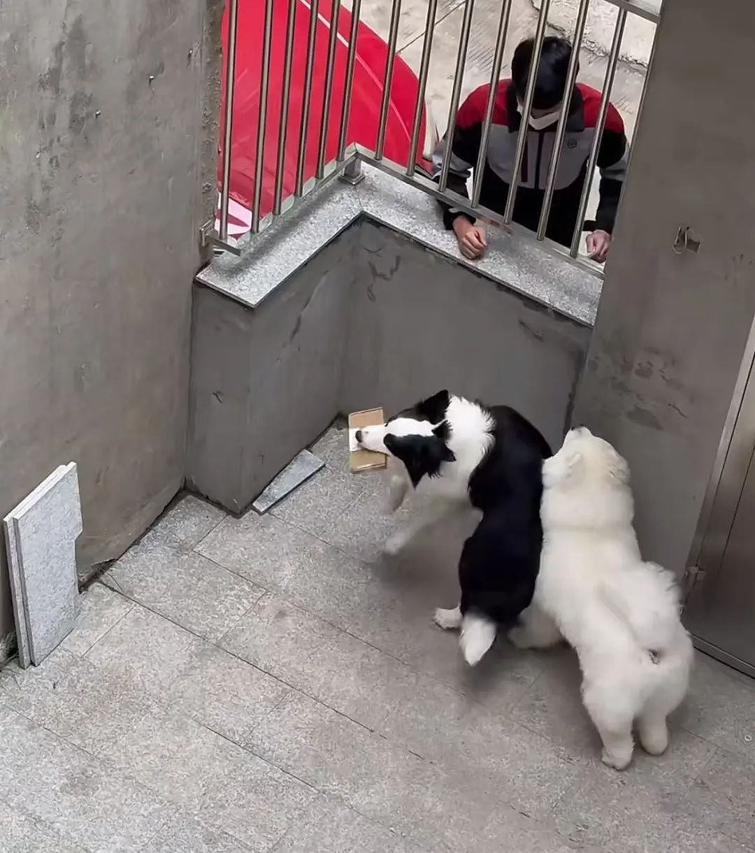 【爆笑】“撞衫经历到底能尴尬到什么地步...？”大爷大妈：穿的像我你无需自卑（组图） - 54