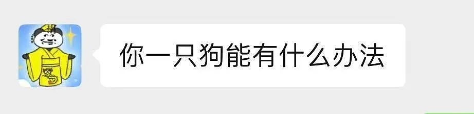 【爆笑】“面试时HR吹的天花乱坠一入职我傻眼了？”啊啊啊牛马槽子具像化了（组图） - 80