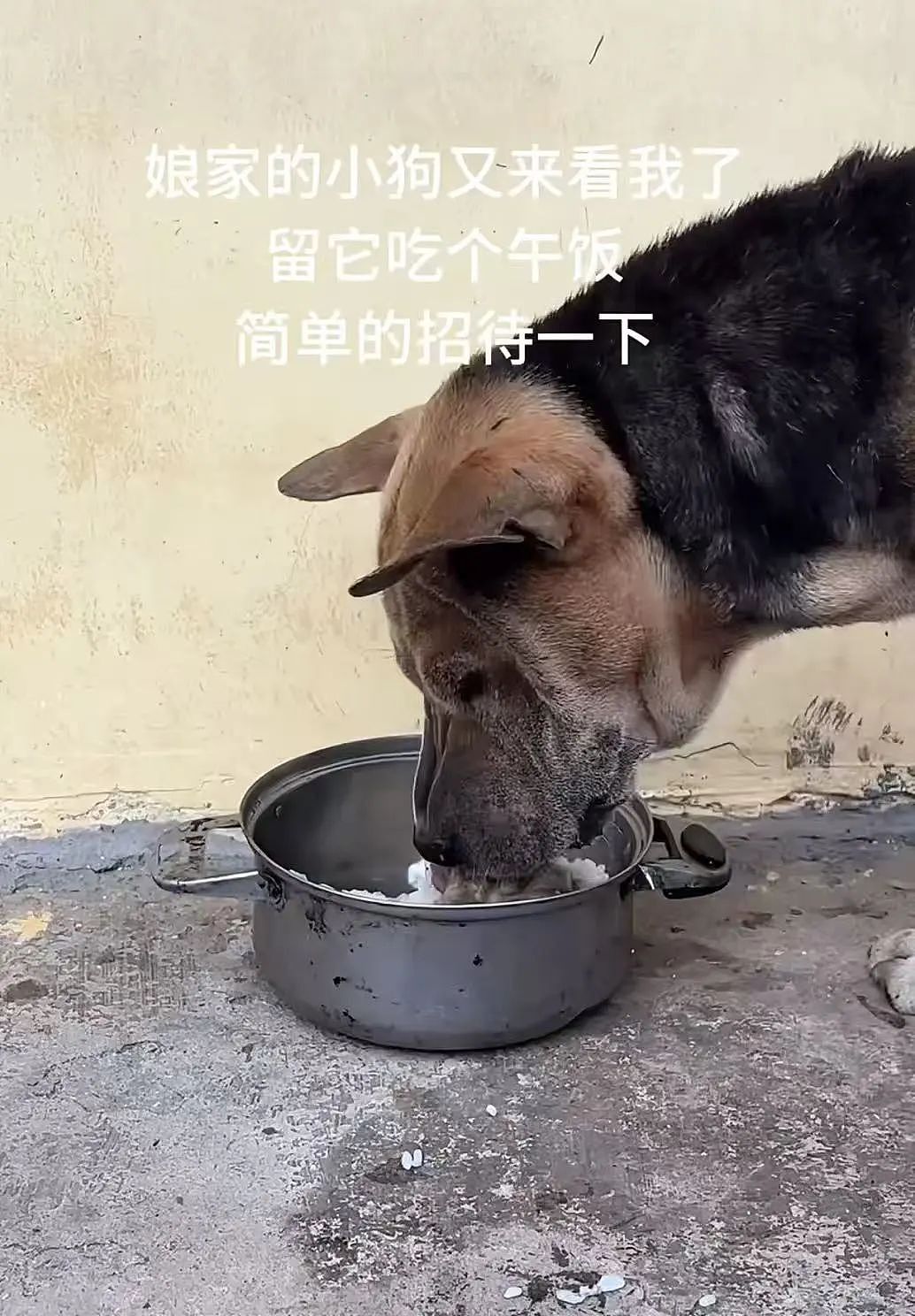 【爆笑】“撞衫经历到底能尴尬到什么地步...？”大爷大妈：穿的像我你无需自卑（组图） - 74