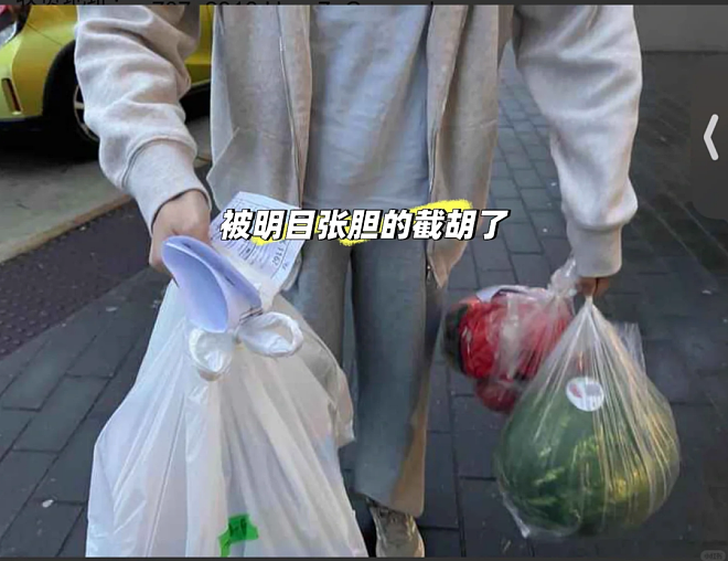 丢国人的脸!华人妈妈曝“同胞”跑家门口“抢菜”(组图) - 3