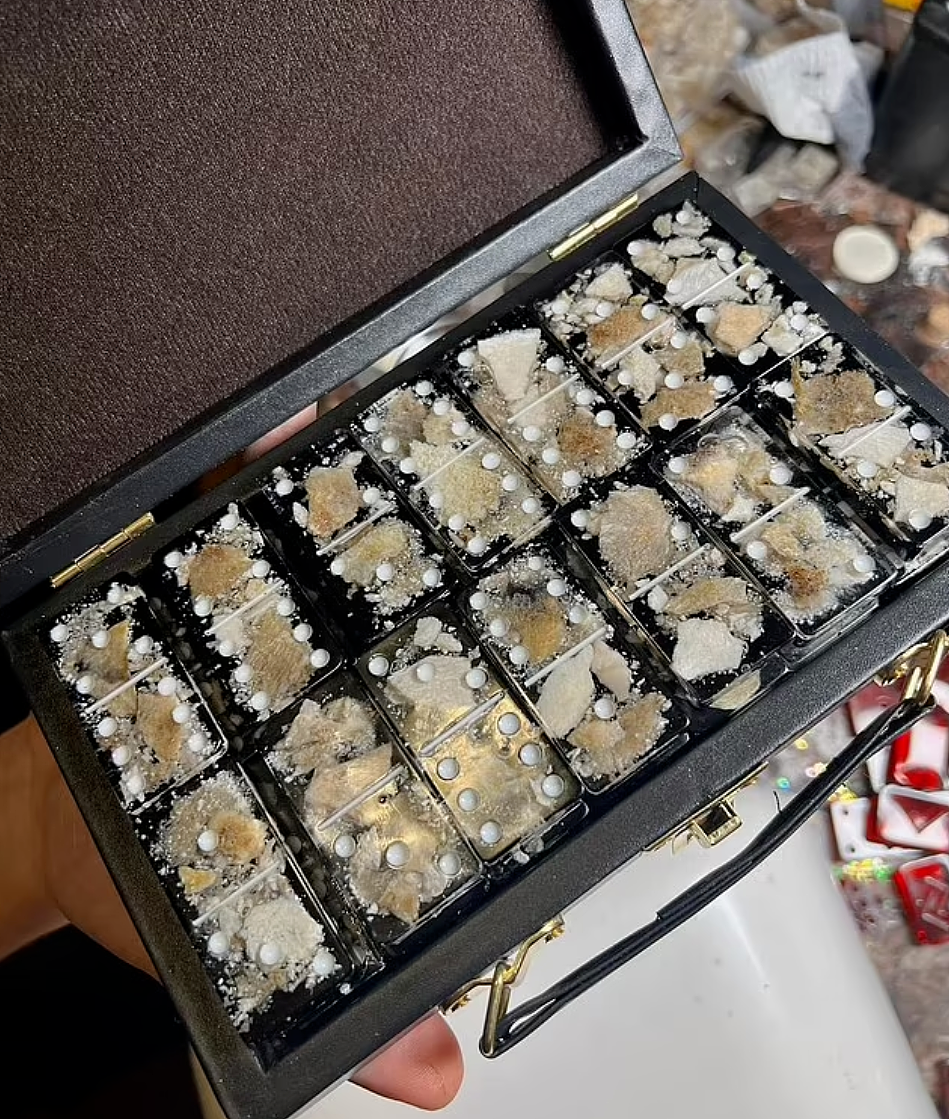 丧心病狂！哈佛医学院前主管承认盗卖人体器官，客户进太平间现场挑选…（组图） - 5