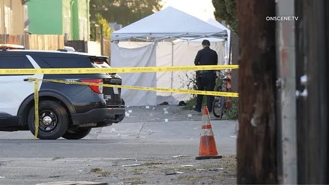 洛杉矶周末大骚乱！300人群体骚乱，公开吸毒酗酒，2人中枪死亡（组图） - 2