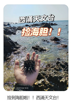 深圳一海滩惊现大量海鲜！有网友称怒捡一百多斤（视频/组图） - 6