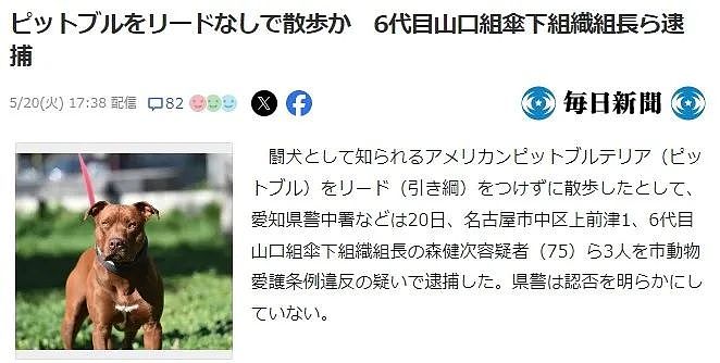 日本黑帮组长被捕,因为遛狗不牵绳?网友群嘲:小学生智商(组图) - 1