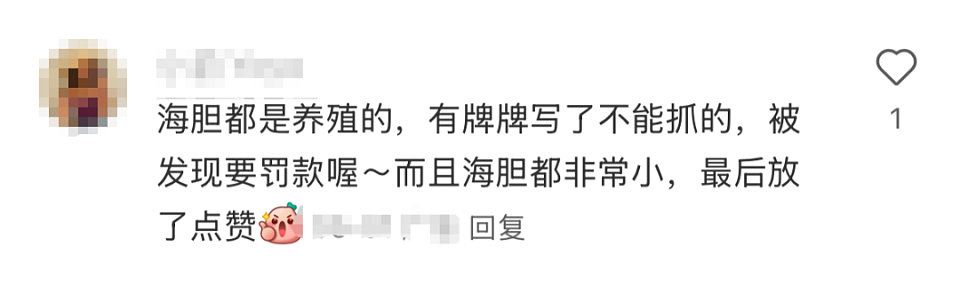 深圳一海滩惊现大量海鲜！有网友称怒捡一百多斤（视频/组图） - 10