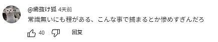 日本黑帮组长被捕,因为遛狗不牵绳?网友群嘲:小学生智商(组图) - 9