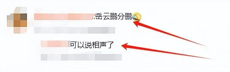 被批“不男不女”的毕凌，把父亲毕福剑所剩无几的体面丢个精光（组图） - 2