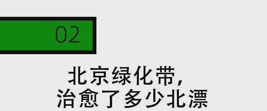 北京绿化带,成了年轻人的“5A级景区”(组图) - 9