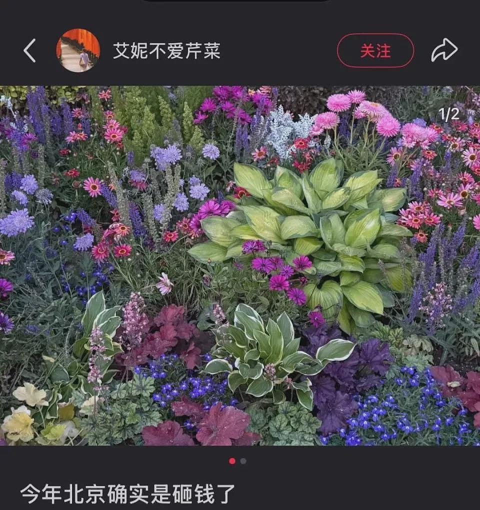 北京绿化带,成了年轻人的“5A级景区”(组图) - 8