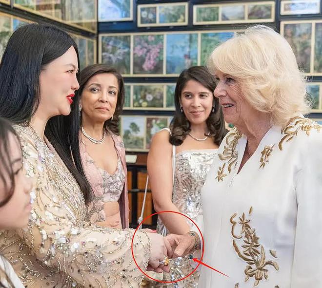 李湘还在晒英国王室合照，姿态太低惹群嘲，卡米拉用指尖和她握手（组图） - 9