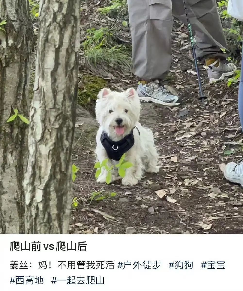【爆笑】“面试时HR吹的天花乱坠一入职我傻眼了？”啊啊啊牛马槽子具像化了（组图） - 91
