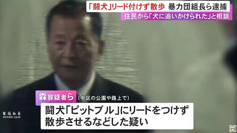 日本黑帮组长被捕,因为遛狗不牵绳?网友群嘲:小学生智商(组图) - 4