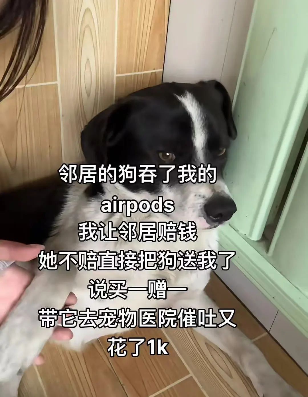 【爆笑】“面试时HR吹的天花乱坠一入职我傻眼了？”啊啊啊牛马槽子具像化了（组图） - 57