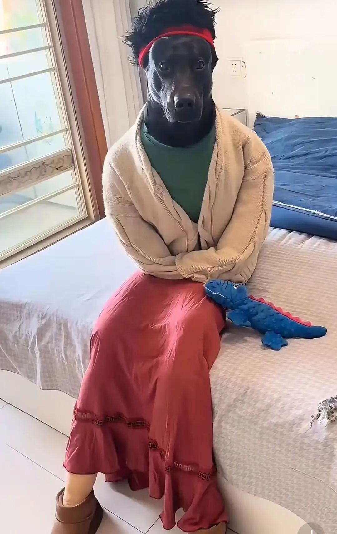 【爆笑】“面试时HR吹的天花乱坠一入职我傻眼了？”啊啊啊牛马槽子具像化了（组图） - 28