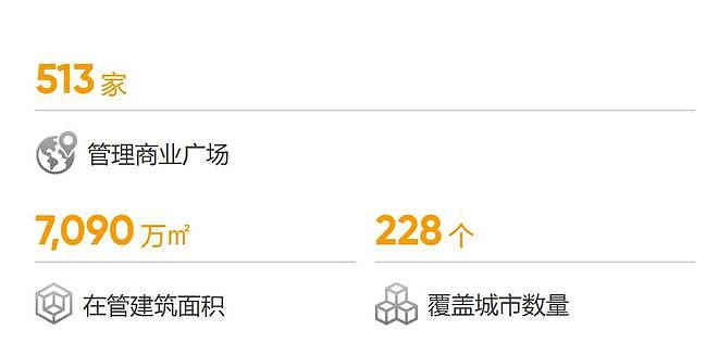 连抛48座万达广场，王健林回款500亿（组图） - 7