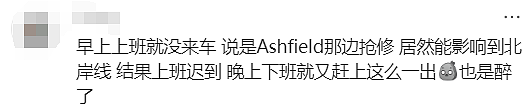 今天悉尼火车又是一场噩梦！“有人跳桥？”“孩子离家几百米，却下不了车...”（组图） - 18