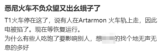 今天悉尼火车又是一场噩梦！“有人跳桥？”“孩子离家几百米，却下不了车...”（组图） - 27