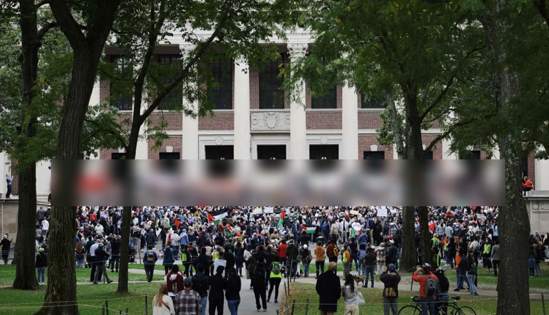 哈佛留学生危机升级？遭威胁切断拨款逼迫转学，英国与欧洲知名大学积极想“捡漏”：来才来才！（组图） - 9
