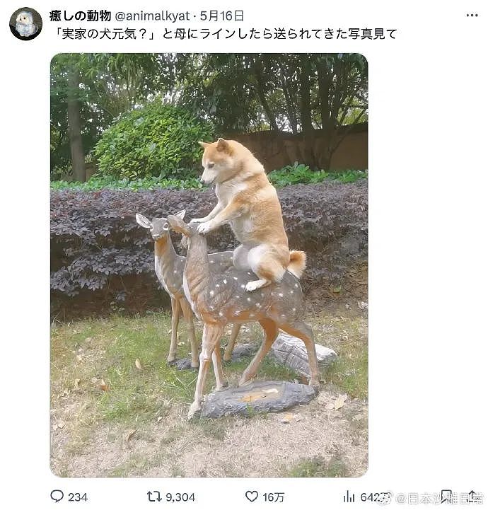 【爆笑】闺蜜和我最讨厌的前男友恋爱了？发朋友圈秀恩爱还忘记屏蔽我？（组图） - 24