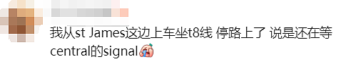 今天悉尼火车又是一场噩梦！“有人跳桥？”“孩子离家几百米，却下不了车...”（组图） - 17