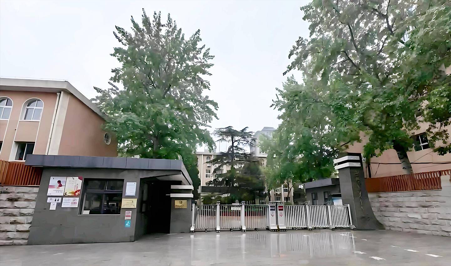 张兰:当年倒追汪小菲的父亲,奉子成婚后...(组图) - 4