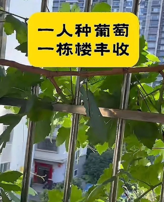 【爆笑】闺蜜和我最讨厌的前男友恋爱了？发朋友圈秀恩爱还忘记屏蔽我？（组图） - 7