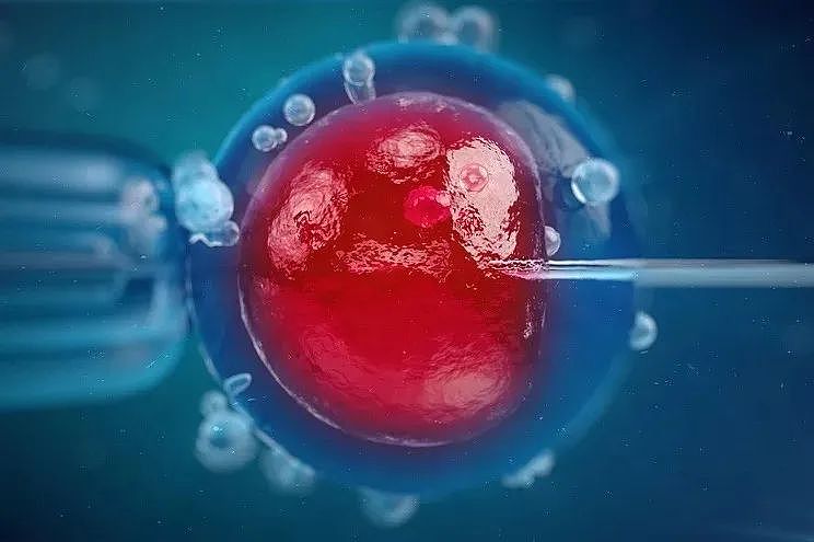他有67个孩子，10个都得癌！明明有基因缺陷，还能成功捐精？（组图） - 3