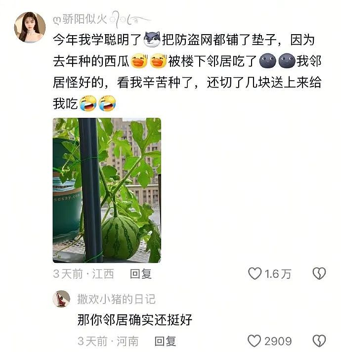 【爆笑】闺蜜和我最讨厌的前男友恋爱了？发朋友圈秀恩爱还忘记屏蔽我？（组图） - 10