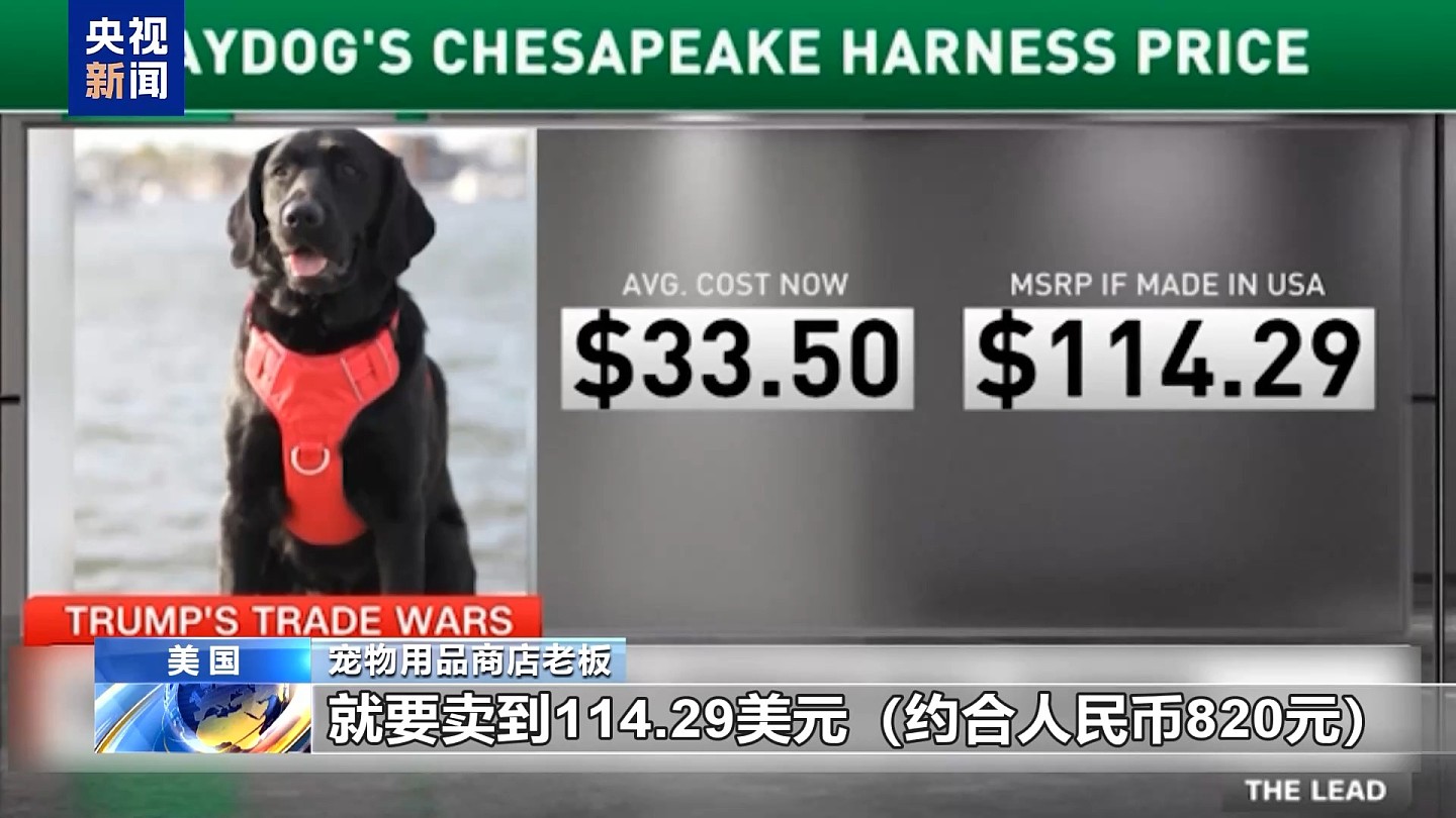 手机买不起、炸鸡吃不起、宠物养不起？这届美国人活得好难（组图） - 11