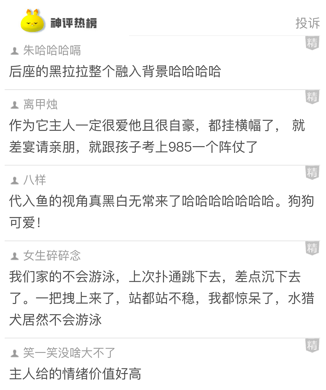 【爆笑】巴黎世家居然出了“一分裤”？光看着就脸红：这个只能遮住 ⅓ 的屁股吧...（组图） - 11
