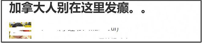 张韶涵演唱会发言惹争议，自称她代表中国人精神，被扒出加拿大籍（组图） - 2