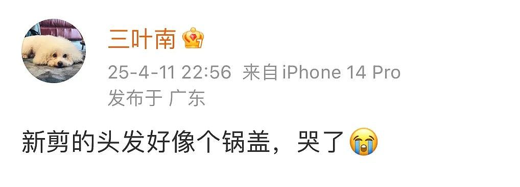 【时尚】剪短发后颜值翻倍的秘诀，一篇说清楚（组图） - 52