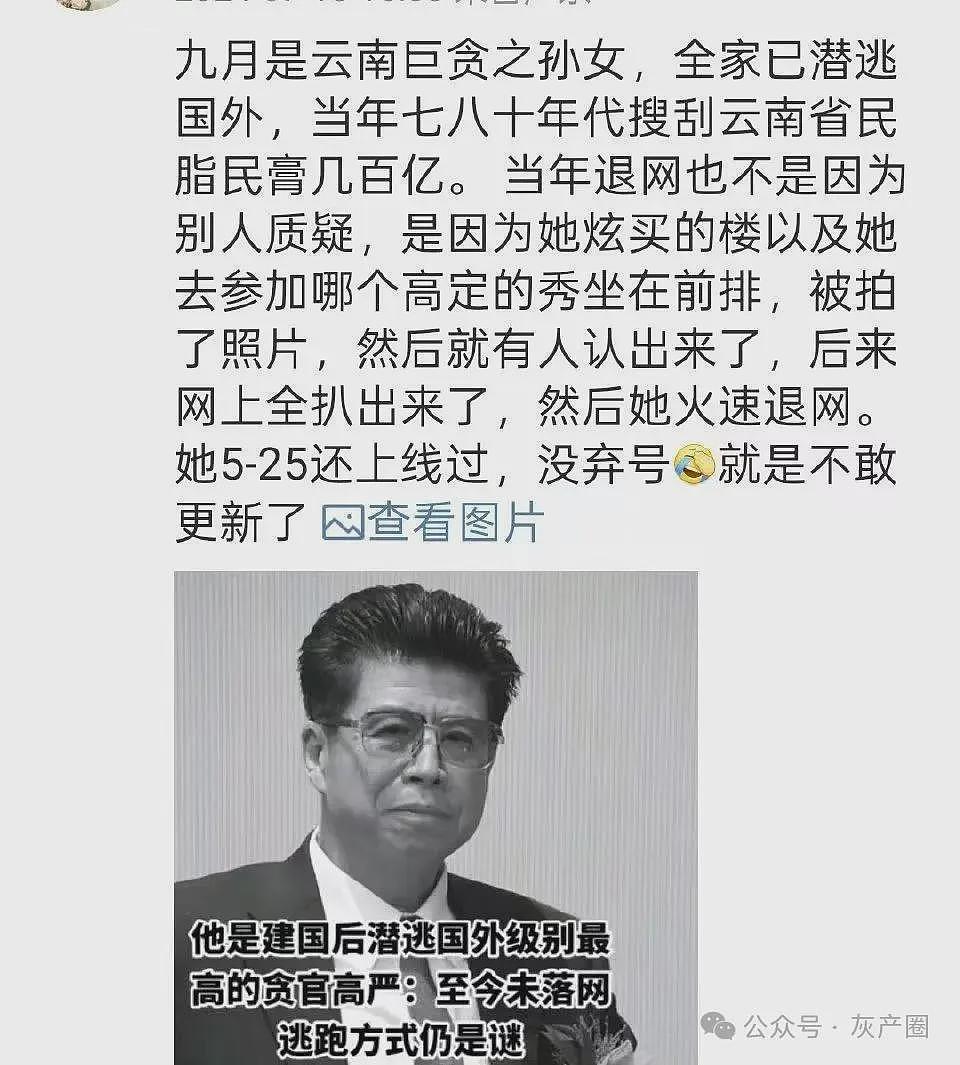 中国美妆博主竟是外逃巨贪后代！微博藏惊人秘密（组图） - 5