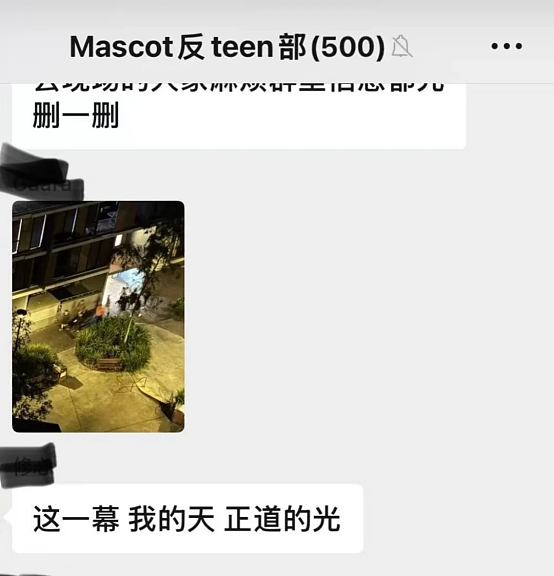 【最新进展】悉尼华人妈妈无辜遭围殴，7名青少年全部获释！华人开始“抱团”，多个团体自发巡逻...（组图） - 27