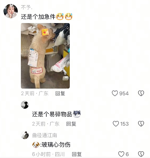 【爆笑】闺蜜和我最讨厌的前男友恋爱了？发朋友圈秀恩爱还忘记屏蔽我？（组图） - 43