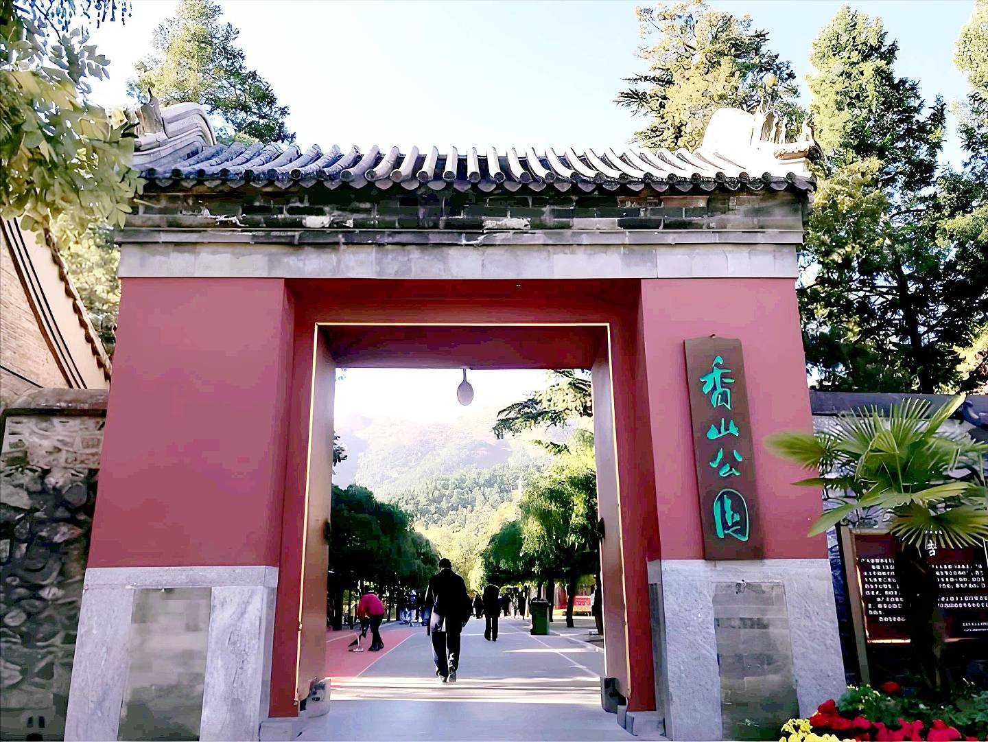 张兰:当年倒追汪小菲的父亲,奉子成婚后...(组图) - 6