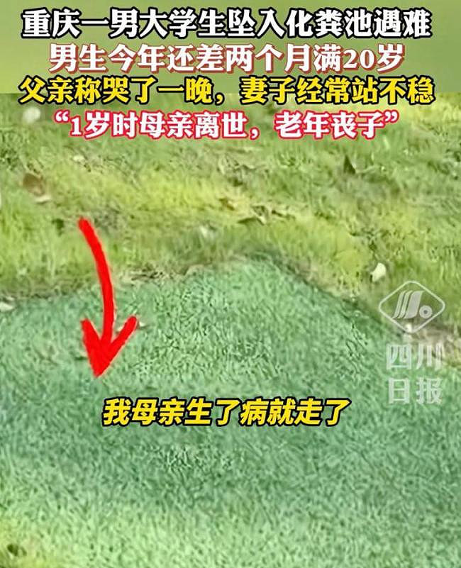 重庆大学生化粪池坠亡后续，双方和解，曝赔偿金（组图） - 1