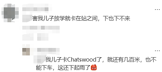 今天悉尼火车又是一场噩梦！“有人跳桥？”“孩子离家几百米，却下不了车...”（组图） - 19