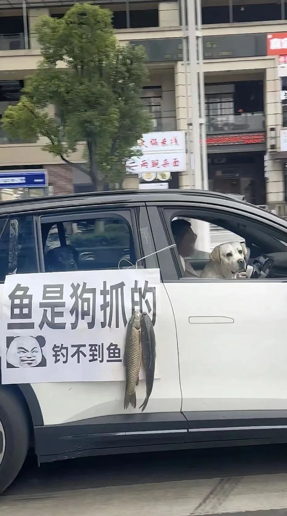 【爆笑】巴黎世家居然出了“一分裤”？光看着就脸红：这个只能遮住 ⅓ 的屁股吧...（组图） - 9