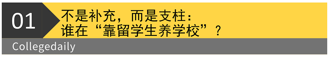 哈佛被特朗普搞，却揭露出那些顶尖美国名校其实在靠留学生“供养”（组图） - 2