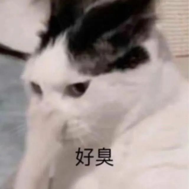 脸上被男友喷了一记臭屁!妹子得了7年鼻窦炎,鼻子里查出大肠杆菌(组图) - 3