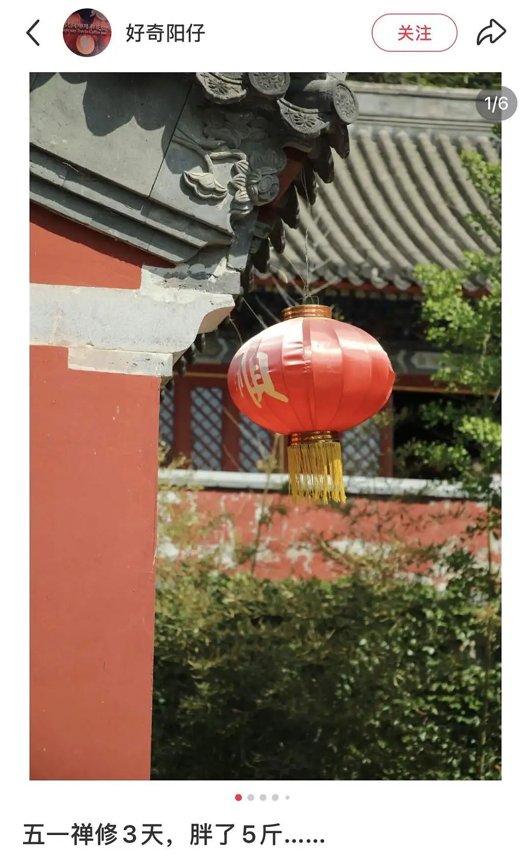 第一批去寺庙“减脂”的人，胖了11斤（组图） - 15
