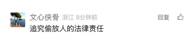 温州九山湖鳄鱼被捕获:疑似是人工饲养的,没有牙齿(组图) - 3
