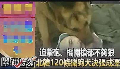 直接炸碎?朝鲜要“炮决”军舰事故负责人?历史上被炮决最多的是印度人(组图) - 20
