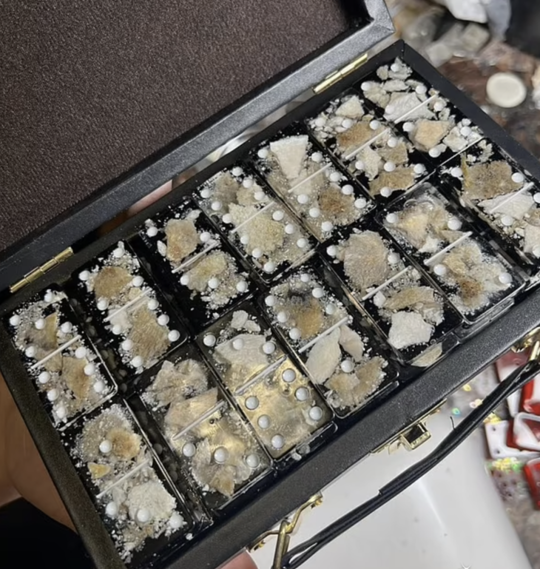 悄悄偷尸体贩卖！前哈佛医学院停尸房主管判了！买家上门提货，制作死尸玩具...（组图） - 7