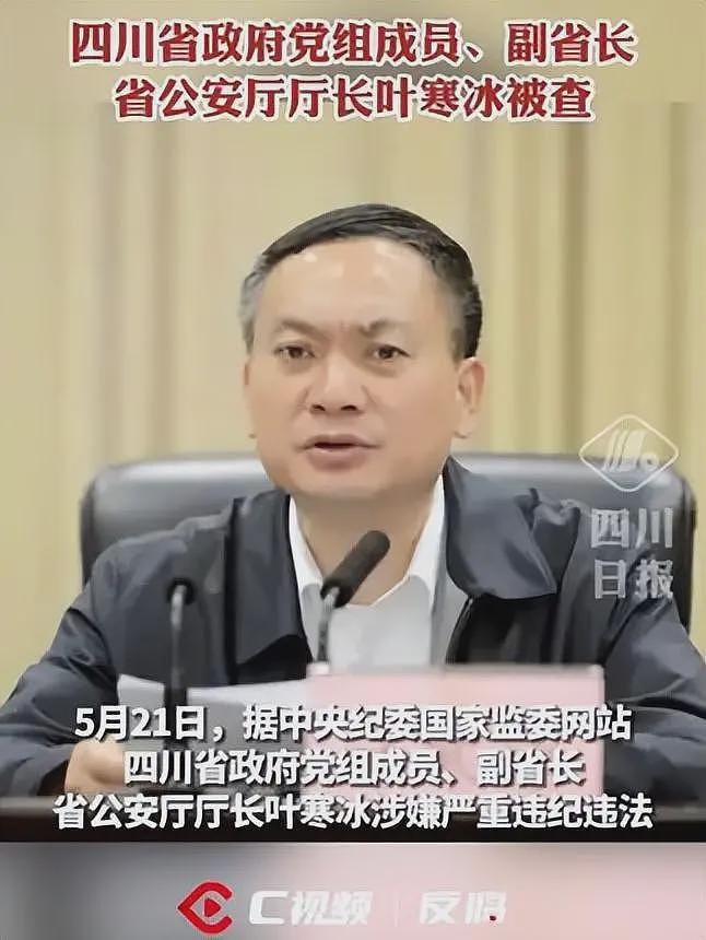 雅安投资集团董事长被查!难道真和黄杨钿甜有关?看来还有大瓜(组图) - 8