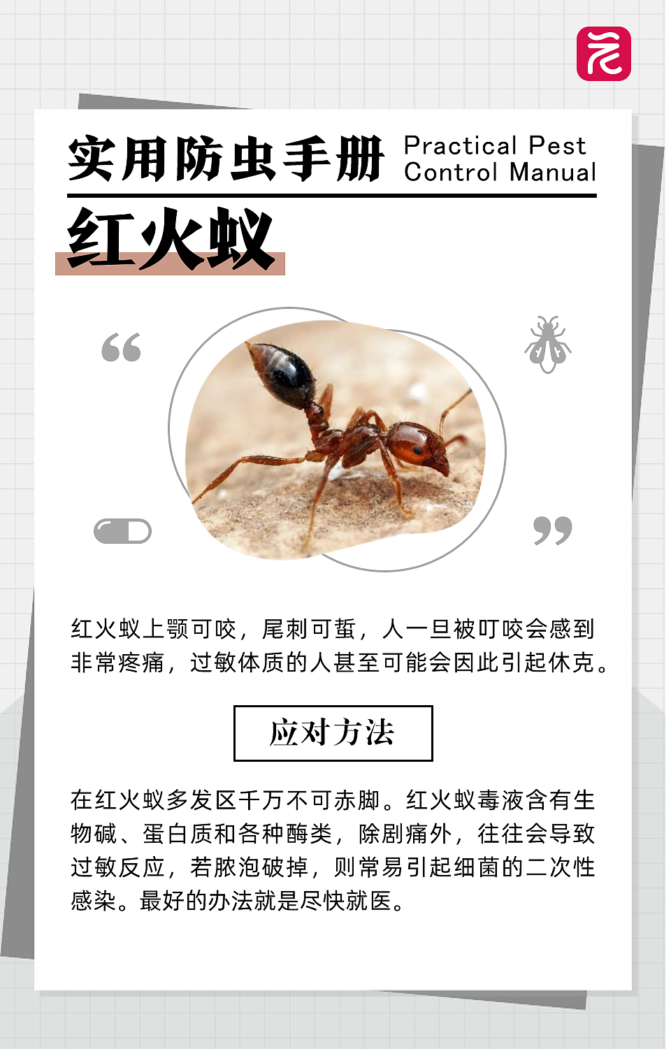 在沙发上睡了一觉，男子差点截趾！严重或危及生命，近期千万当心（组图） - 13